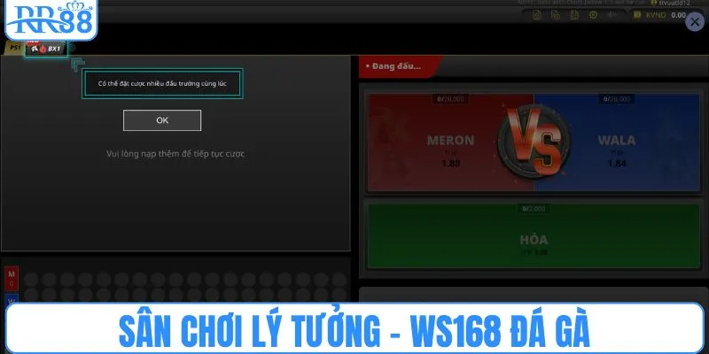 Sân chơi lý tưởng - WS168 đá gà